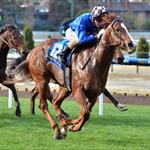 Flying filly Wild Rain impresses at Moonee Valley Flying filly Wild Rain impresses at Moonee Valley